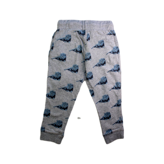 A Grey Sweatpants from Seed in size 3T for boy. (Back View)