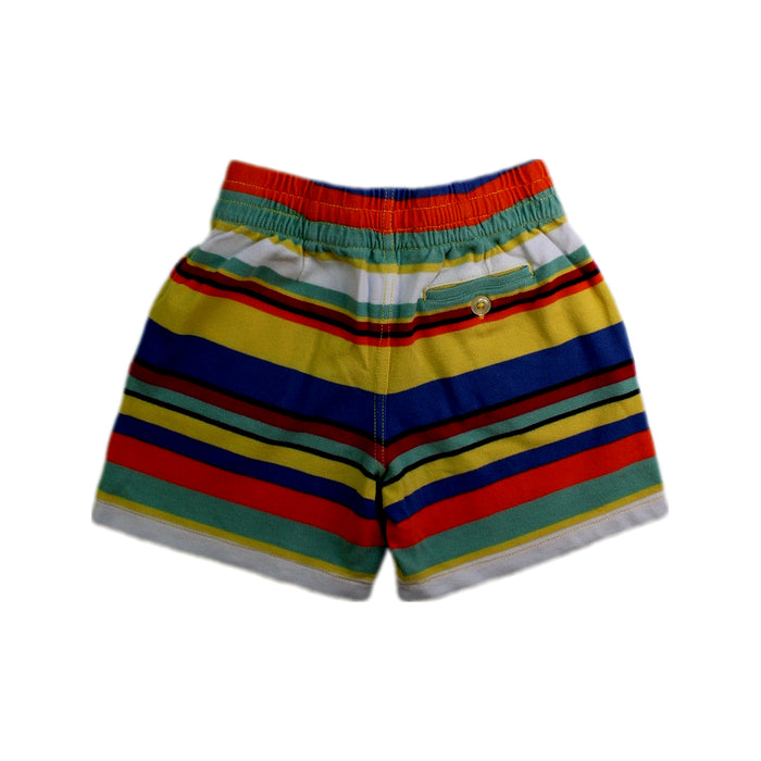 A Multicolour Shorts from Polo Ralph Lauren in size 5T for boy. (Back View)