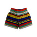 A Multicolour Shorts from Polo Ralph Lauren in size 5T for boy. (Back View)