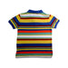 A Multicolour Short Sleeve Polos from Polo Ralph Lauren in size 6T for boy. (Back View)
