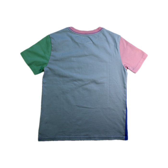 A Multicolour Short Sleeve T Shirts from Polo Ralph Lauren in size 6T for boy. (Back View)