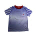 A Blue Short Sleeve T Shirts from Polo Ralph Lauren in size 6T for boy. (Front View)