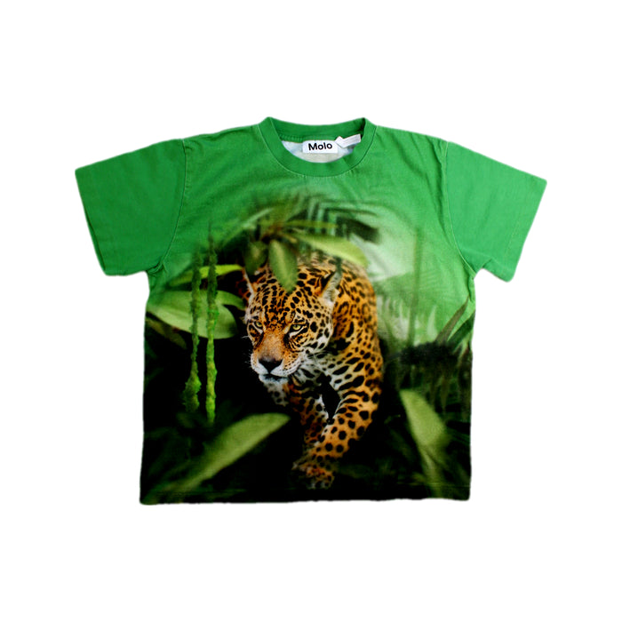 A Green Short Sleeve T Shirts from Molo in size 7Y for boy. (Front View)