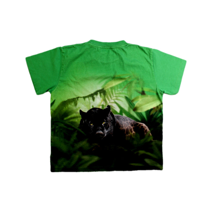 A Green Short Sleeve T Shirts from Molo in size 7Y for boy. (Back View)
