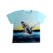 A Blue Short Sleeve T Shirts from Molo in size 7Y for boy. (Front View)