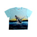 A Blue Short Sleeve T Shirts from Molo in size 5T for boy. (Front View)