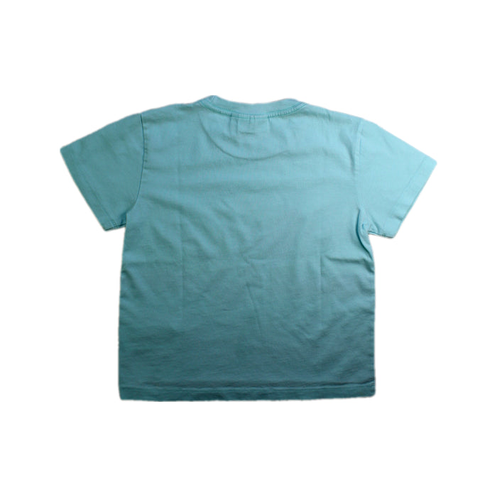 A Blue Short Sleeve T Shirts from Molo in size 5T for boy. (Back View)