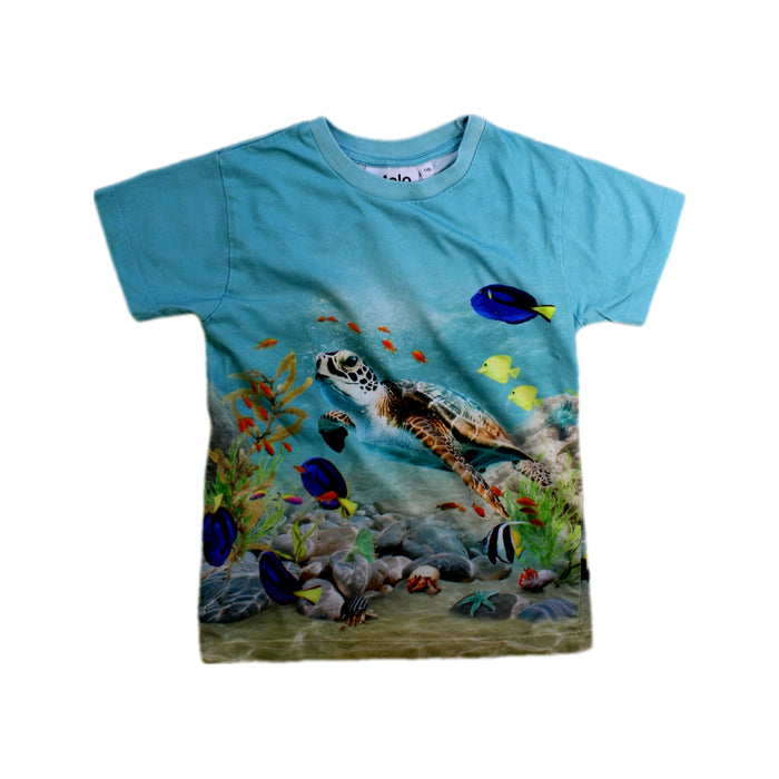 A Blue Short Sleeve T Shirts from Molo in size 5T for boy. (Front View)
