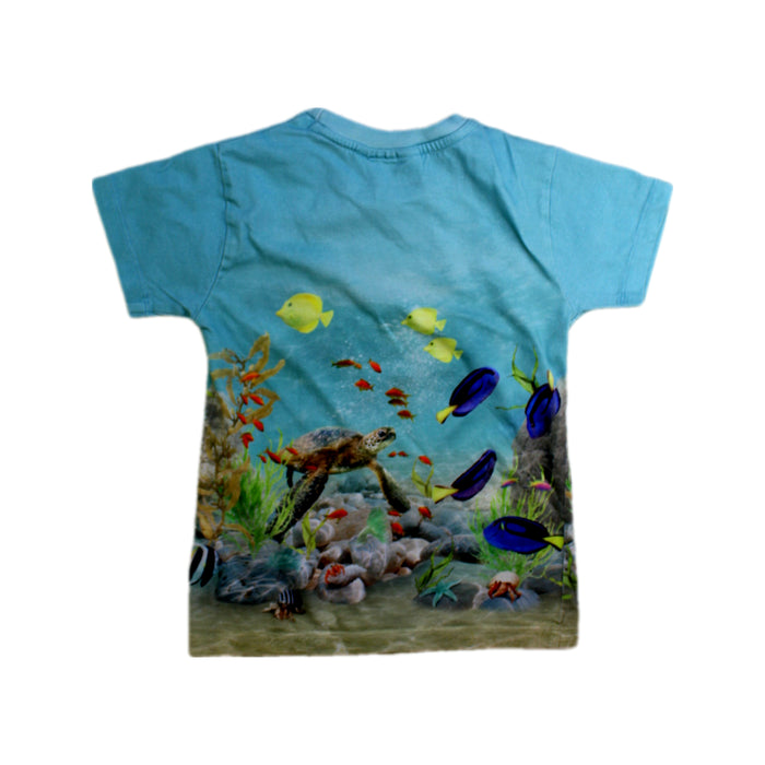 A Blue Short Sleeve T Shirts from Molo in size 5T for boy. (Back View)
