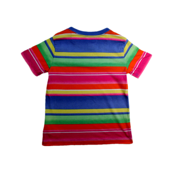 A Multicolour Short Sleeve T Shirts from Polo Ralph Lauren in size 4T for neutral. (Back View)