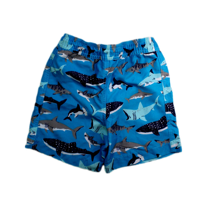 A Blue Swim Shorts from Hatley in size 3T for boy. (Back View)