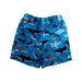 A Blue Swim Shorts from Hatley in size 3T for boy. (Back View)