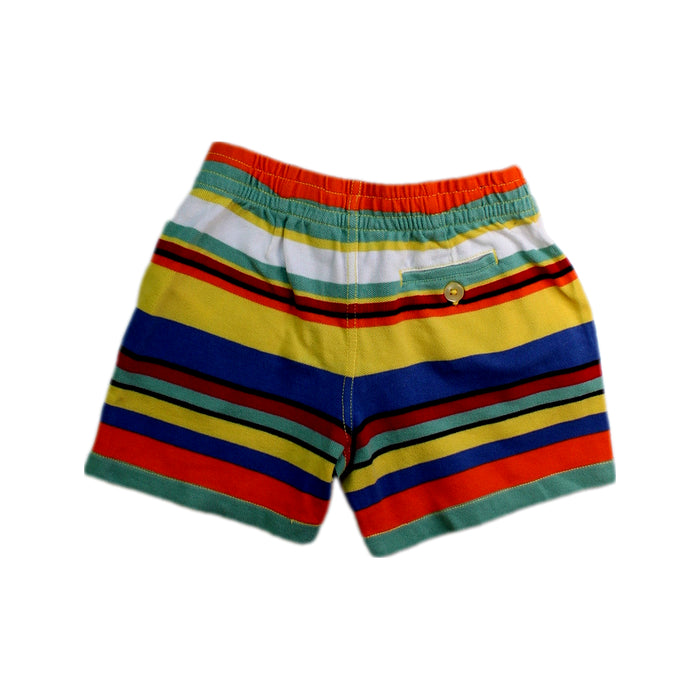 A Multicolour Shorts from Polo Ralph Lauren in size 3T for boy. (Back View)