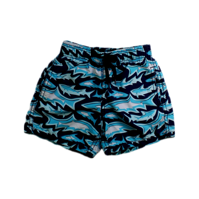 A Blue Swim Shorts from Vilebrequin in size 4T for boy. (Front View)
