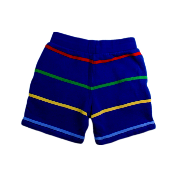A Multicolour Shorts from Polo Ralph Lauren in size 5T for boy. (Back View)