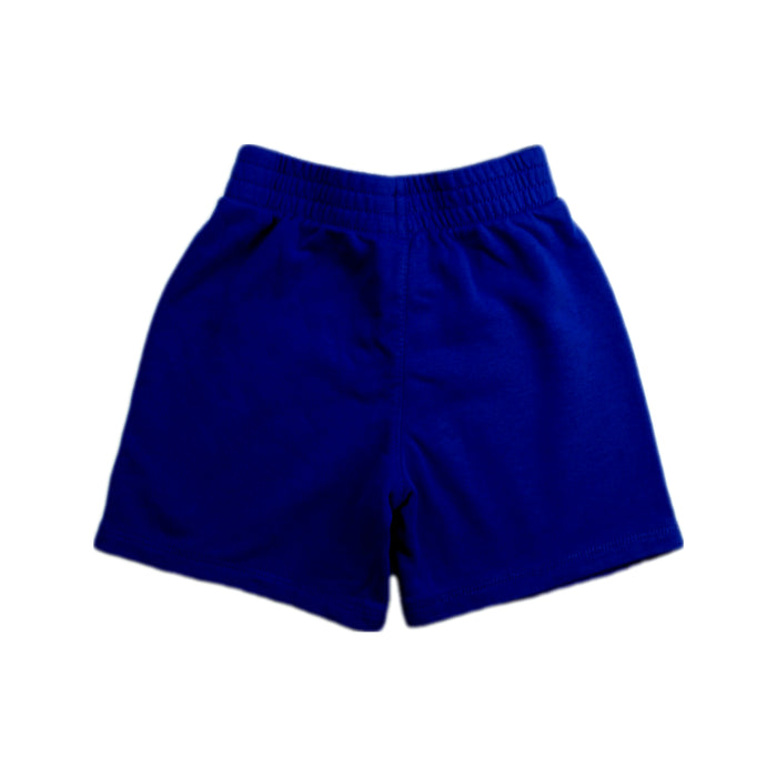 A Blue Shorts from Nike in size 4T for boy. (Back View)