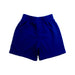 A Blue Shorts from Nike in size 4T for boy. (Back View)