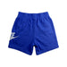 A Blue Shorts from Nike in size 4T for boy. (Back View)