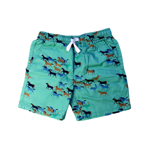 A Green Swim Shorts from Seed in size 6T for boy. (Front View)