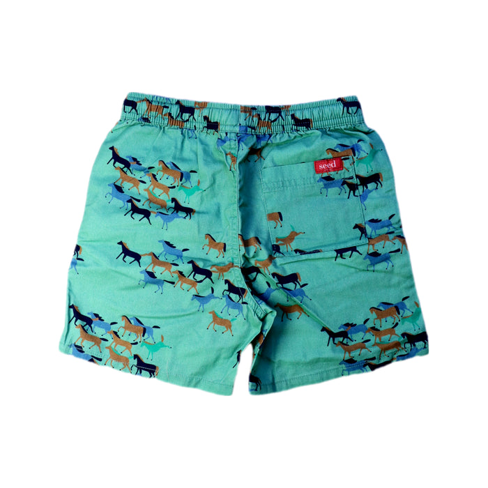 A Green Swim Shorts from Seed in size 6T for boy. (Back View)