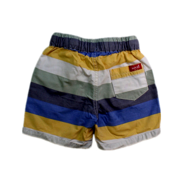 A Multicolour Shorts from Seed in size 2T for boy. (Back View)