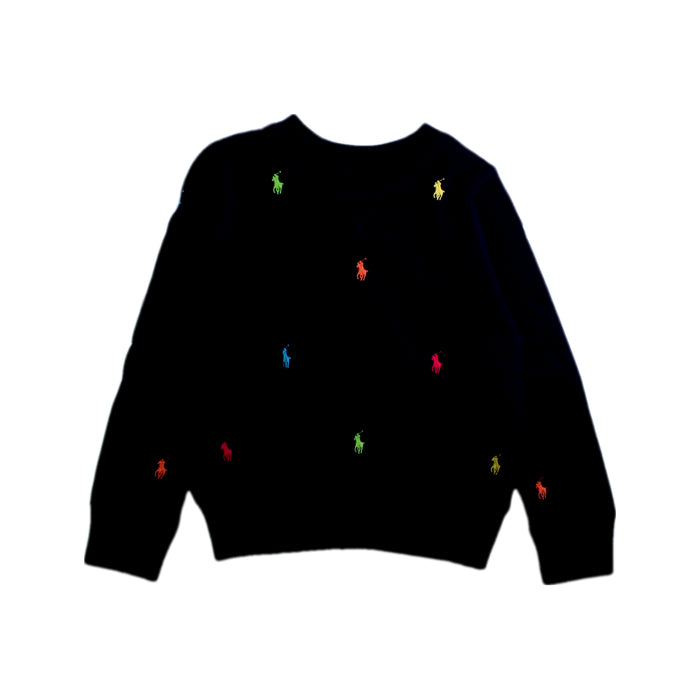 A Multicolour Crewneck Sweatshirts from Polo Ralph Lauren in size 7Y for boy. (Front View)