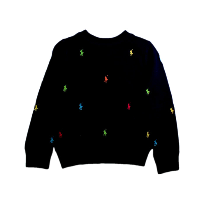A Multicolour Crewneck Sweatshirts from Polo Ralph Lauren in size 7Y for boy. (Back View)