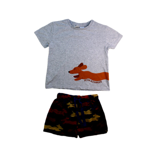 A Grey Shorts Sets from Peter Alexander in size 3T for boy. (Front View)