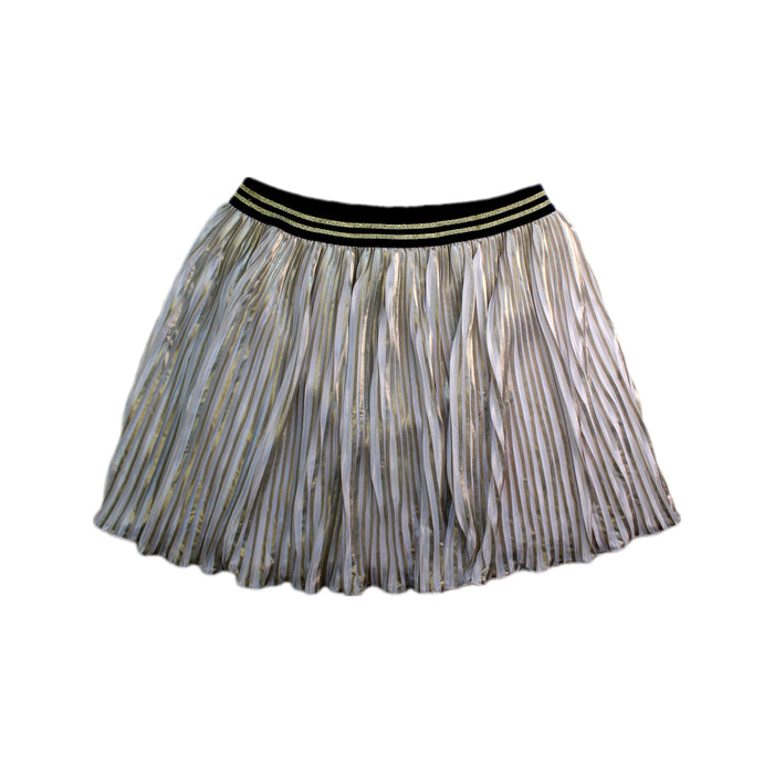 A Silver Short Skirts from Tommy Hilfiger in size 12Y for girl. (Front View)