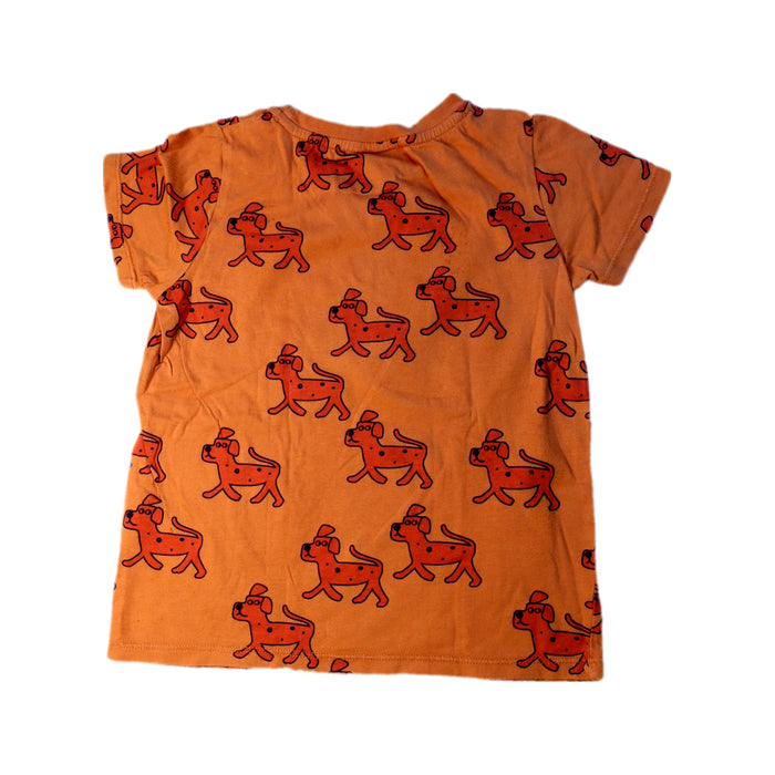 A Orange Short Sleeve T Shirts from Seed in size 5T for boy. (Back View)