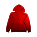 A Red Hooded Sweatshirts from Polo Ralph Lauren in size 10Y for neutral. (Back View)