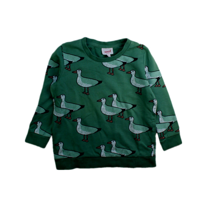 A Green Crewneck Sweatshirts from Seed in size 3T for boy. (Front View)