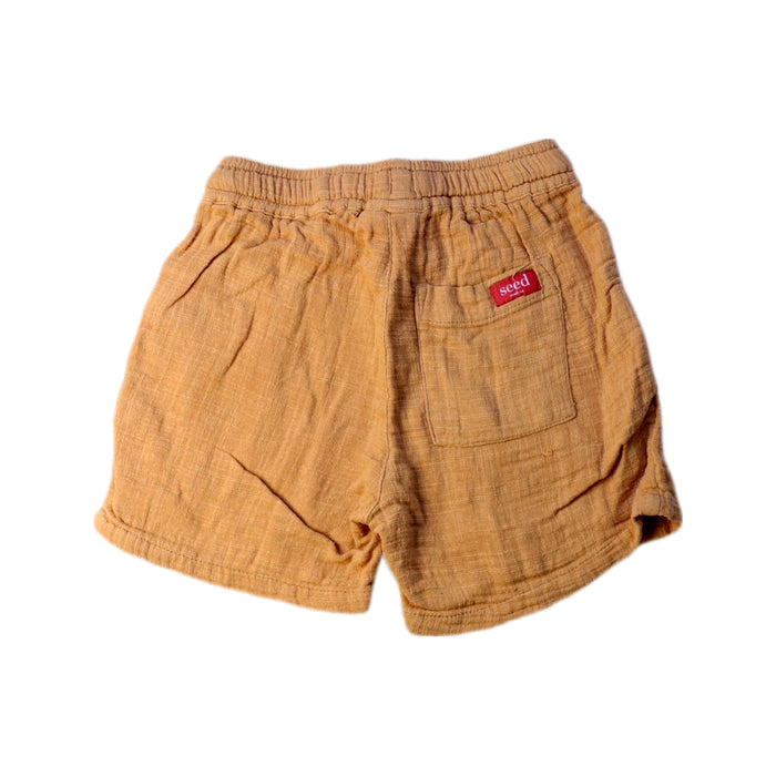 A Brown Shorts from Seed in size 2T for boy. (Back View)