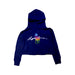 A Navy Hooded Sweatshirts from Polo Ralph Lauren in size 3T for girl. (Front View)