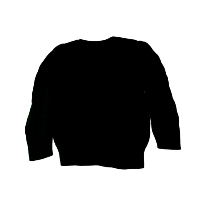 A Black Knit Sweaters from Polo Ralph Lauren in size 3T for boy. (Back View)