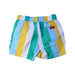 A Multicolour Shorts from Seed in size 4T for boy. (Back View)
