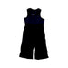 A Black Ski Pants & Salopettes from The North Face in size 2T for neutral. (Front View)