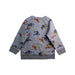 A Grey Crewneck Sweatshirts from Stella McCartney in size 5T for boy. (Back View)