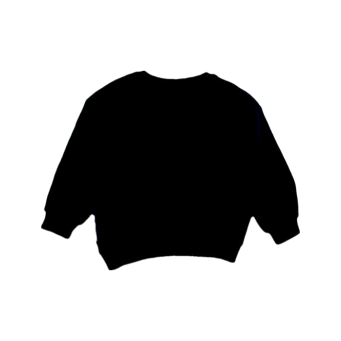 A Black Crewneck Sweatshirts from Desigual in size 3T for boy. (Back View)