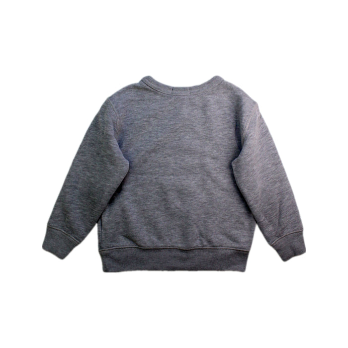 A Grey Crewneck Sweatshirts from Polo Ralph Lauren in size 3T for boy. (Back View)