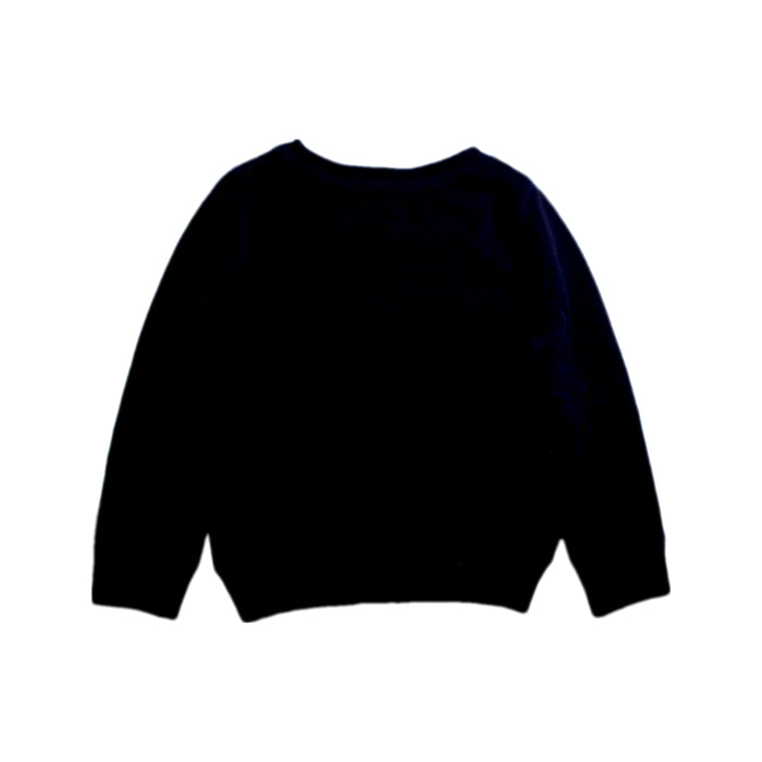A Navy Crewneck Sweatshirts from Polo Ralph Lauren in size 4T for girl. (Back View)