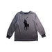 A Grey Long Sleeve T Shirts from Polo Ralph Lauren in size 8Y for boy. (Front View)