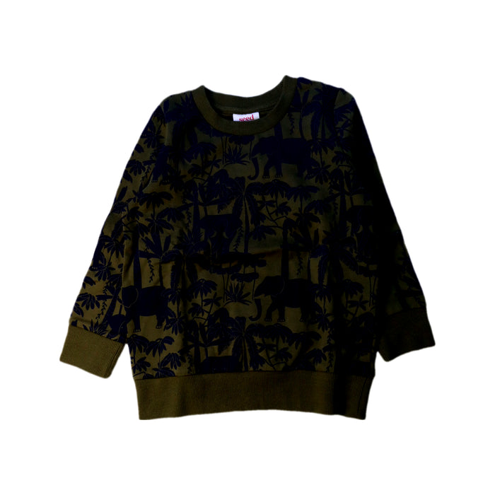 A Green Crewneck Sweatshirts from Seed in size 4T for boy. (Front View)
