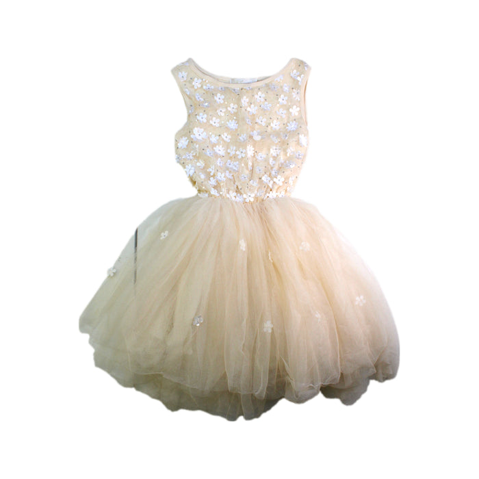 A Ivory Sleeveless Dresses from Britt in size 5T for girl. (Front View)