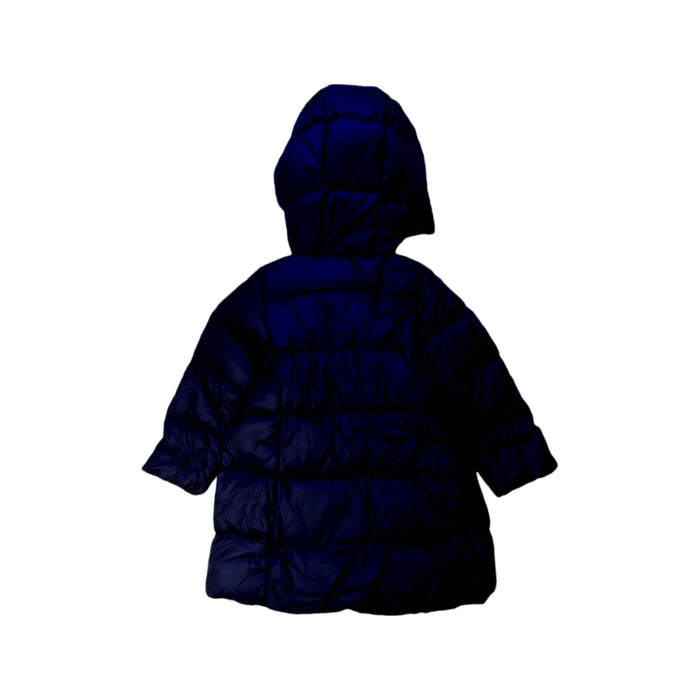 A Navy Puffer/Quilted Coats & Outerwear from Polo Ralph Lauren in size 3T for girl. (Back View)