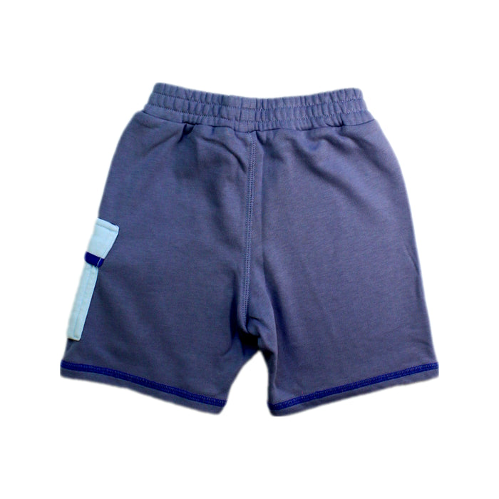 A Grey Shorts from Nike in size 4T for boy. (Back View)