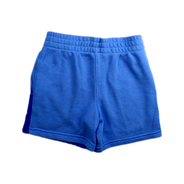 A Blue Shorts from Nike in size 4T for boy. (Back View)