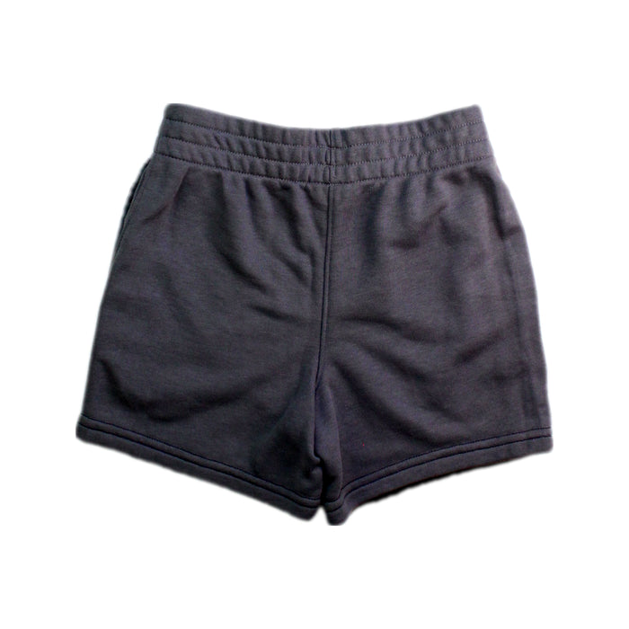 A Grey Shorts from Nike in size 4T for boy. (Back View)