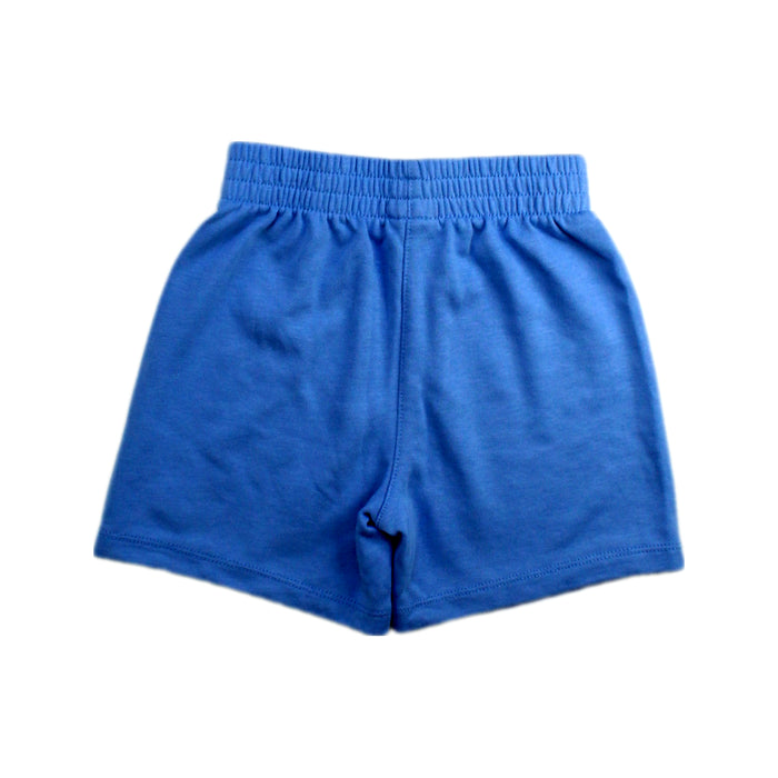 A Blue Shorts from Nike in size 4T for boy. (Back View)