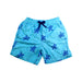 A Blue Swim Shorts from Vilebrequin in size 12Y for boy. (Front View)